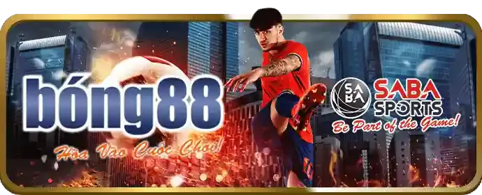 Hướng dẫn cá cược thể thao 555win 12